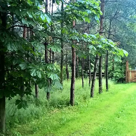 Villa Weekendwbeskidach - Granica