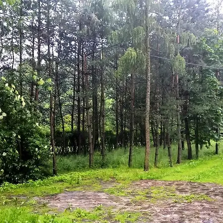 Weekendwbeskidach - Granica